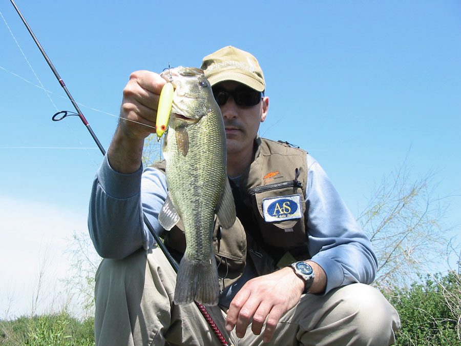 Spinning Lures: 4 Tips to Choose Yours