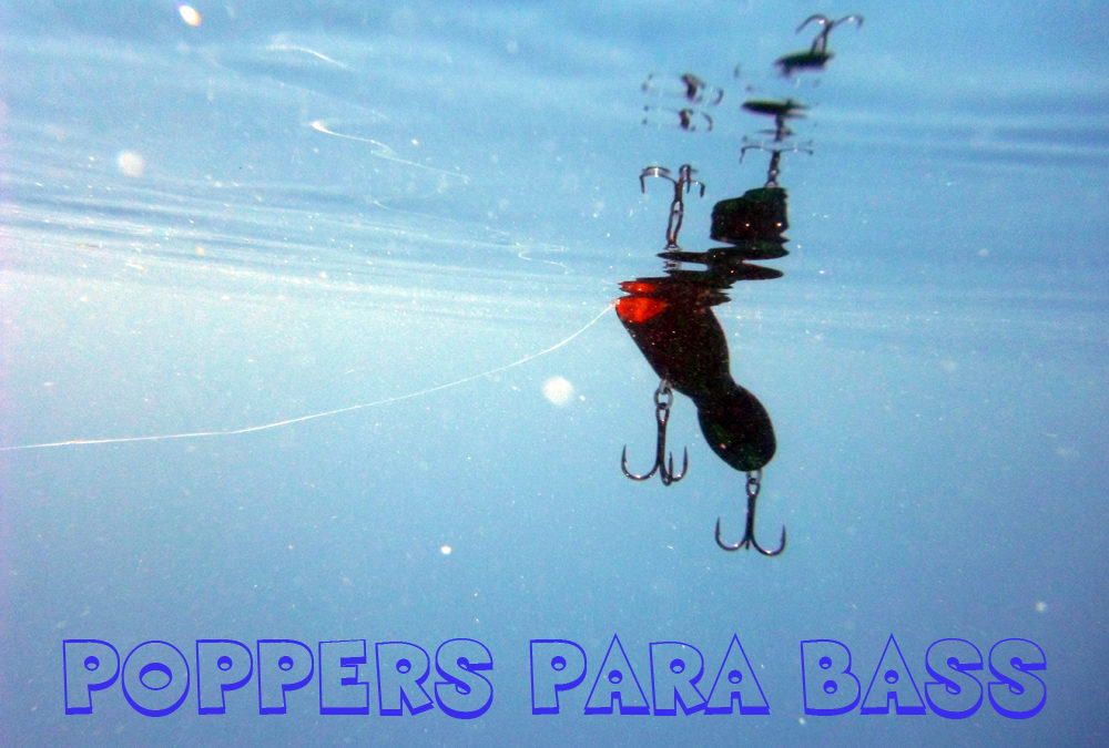 Poppers para bass