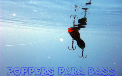 Poppers para bass