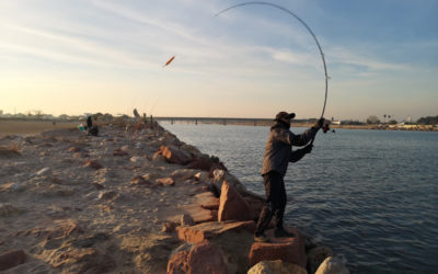 Señuelos Spinning – Pesca Spinning – Pesca con Paseantes