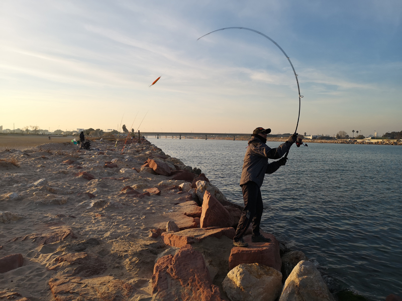 Señuelos Spinning – Pesca Spinning – Pesca con Paseantes