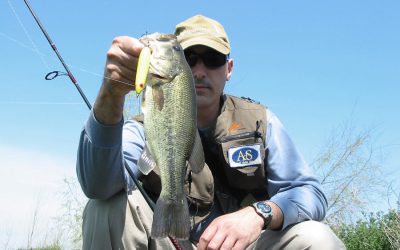 Spinning Lures: 4 Tips to Choose Yours